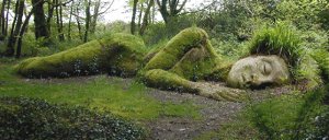 The lost gardens of heligan